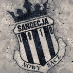 HD-wallpaper-sandecja-nowy-sacz-geometric-art-logo-gray-abstract-background-polish-football-club-nowy-sacz-poland-football-creative-art
